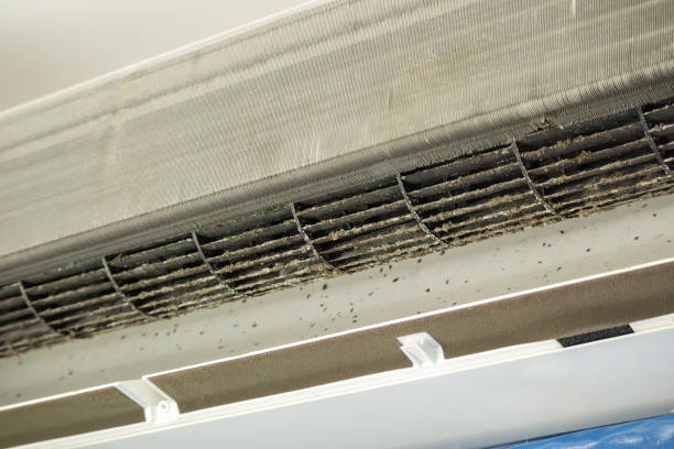 Best Air Duct Cleaning Near Me  in Gloverville, SC